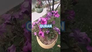 Reciting AR rahman relaxing 100 X #Quran #islam