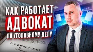 Как работает адвокат по уголовному делу