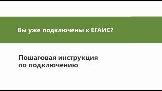 Подключение к ЕГАИС пошаговая инструкция для всех