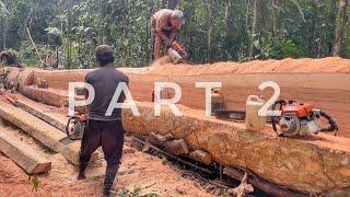 AMAZING WOODWORKING‼️ PART 2 SIZE 5x10x400 (Cm) || THE BEST MACHINE STIHL 070 & 382