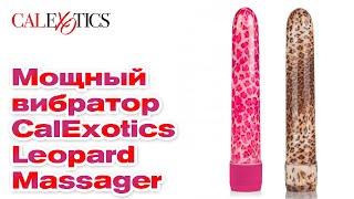 Мощный Леопардовый Вибростимулятор CalExotics Leopard Massager | Секс-шоп Тойс Украина