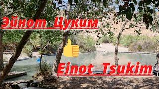 Природный заповедник Эйнот-Цуким    Einot-Tsukim   Israel   #мертвоеморе #заповедник#отдых