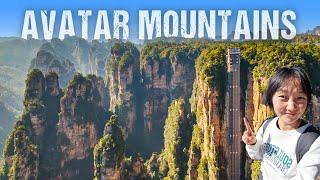 Unveil China's AVATAR Mountains - Breathtaking Landscape of Zhangjiajie Region | S2, EP51