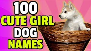 100 Cute Names For A Girl Dog  | Female Dog Names