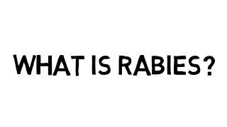 What is rabies?