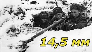 Винтовка 2021 с 1941 года. Украинские новинки, калибр размышления. Обзор, мнение об оружии