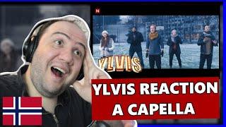 Ylvis - a capella | Utlendings Reaksjon  Nordic REACTION