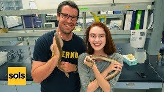 Snake Research at Arizona State University