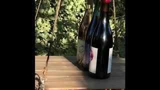 Las Jaras Wine Party