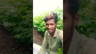 Ajay kharad.09 #comedy status #viral shor#t video viral