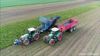 Edenhall 754 / Suikerbieten rooien / Sugar Beet harvest / Zückerruben roden / Fendt / Bietenoogst