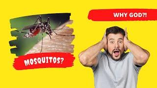 Questioning God's Sovereignty -  Why Did He Create Mosquitos?