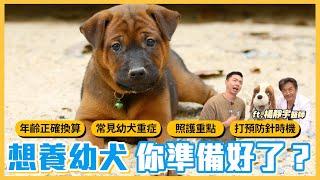 想養幼犬，你準備好了嗎？｜熊爸估狗