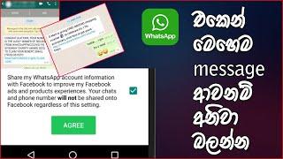 WhatsApp privacy policy update in Sinhala