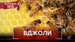 Відомі факти та міфи про бджіл, у які ви вірили, Обережно, міф