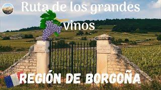 Ruta de los Grandes vinos de BORGOÑA. Guía de Francia #11