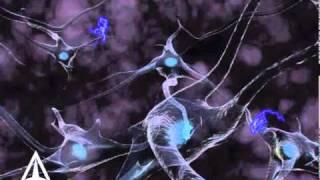 Neurotransmission - 3D Medical Animation