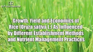 Growth, Yield and Economics of Rice (Oryza sativa L.) As Influenced by Different