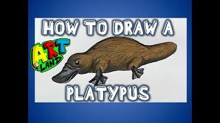 How to Draw a PLATYPUS