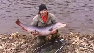 Taimen fishing Russia