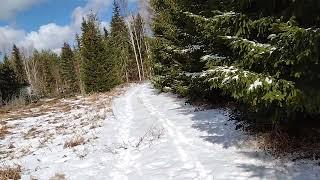 Polku
