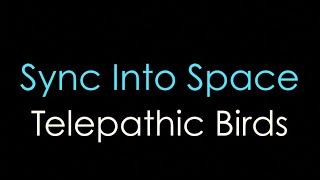 Telepathic Birds — Sync Into Space