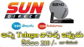 Sundirect All Telugu Channels Recharge Plans 2021|Sundirect Best Recharge Plans|Sundirect Plans