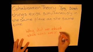 Kat C's Philosophy Project: The Antinomy of Constitution