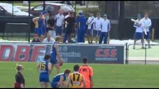 Round 17  2015: Western Jets Vs Dandenong Stingrays