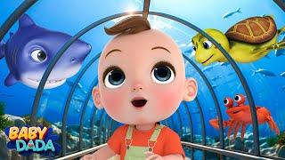 Aquarium Animals Song + More Animals Songs for Kids & Nursery Rhymes| Baby DaDa