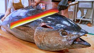 Giant Bluefin Tuna Cutting Skills, Tuna Knife Making, Bluefin Tuna roe, Sashimi