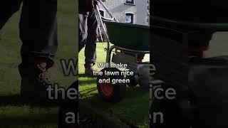 Use this CHEAP fertiliser to get an AMAZING GREEN lawn