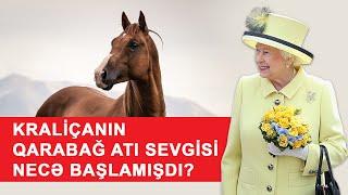 Kraliça II Elizabetin Qarabağ atı sevgisi necə yaranmışdı?