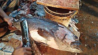 Amazing Giant Grouper Fish Cutting Skills. Bangladeshi Cutter Master Cutting