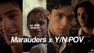 Marauders x Y/N Tiktok POV