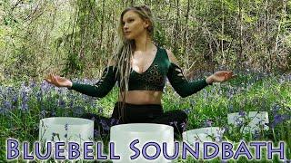 Crystal singing bowls Bluebell Sound bath @TrueResonance1111  in nature with woodland