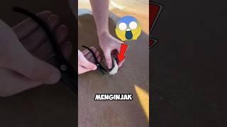 Jangan menginjak makhluk ini  #shorts