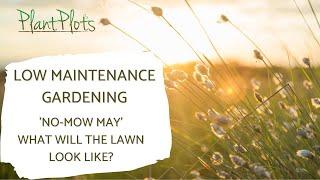 No-Mow Lawns: What do they really look like? | Garden Advice by PlantPlots