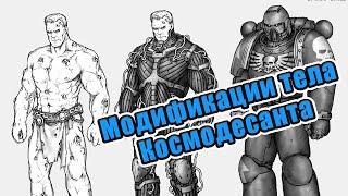 Warhammer 40000. Физиология астартес. Так ли хороши Воины Императора?