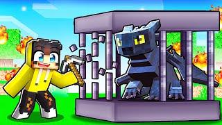 Gecenin Öfkesini Ejderha Korsanlarından Kurtardım! ‍️ | Minecraft Ejderha Adası