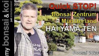 Bonsai 2024-18 - QUICK STOP! - Bonsai Zentrum Münsterland und HAI YAMA TEN