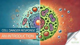 Introduction Cell Danger Response