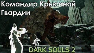 Командир Крысиной: Гвардии  Dark Souls 2 / Дарк соулс 2 - тактика как убить, как победить босса ДС2