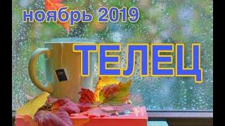 ТЕЛЕЦ  НОЯБРЬ 2019  ТАРО ПРОГНОЗ #Расклады_на_тароВерховнаяЖрица