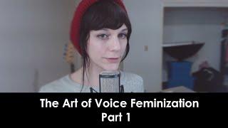 The Art of Voice Feminization | Part 1: Overview, Acoustic Resonance, and A Conceptual Framework