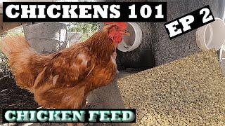 Chicken Food! | Backyard Chickens 101 Part2 |Lacey Family Farms