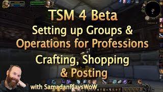 TSM4 Beta - Setting up Profession Groups & Operations