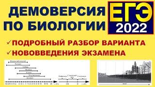 ДЕМОВЕРСИЯ ЕГЭ ПО БИОЛОГИИ 2022 | ПОДРОБНЫЙ РАЗБОР