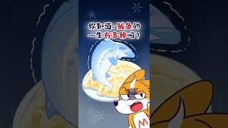 你知道，鲅鱼的一生有多惨吗？#shorts #鲅鱼 #我是小魔
