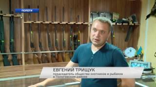 Пологовский район атакуют лисицы!